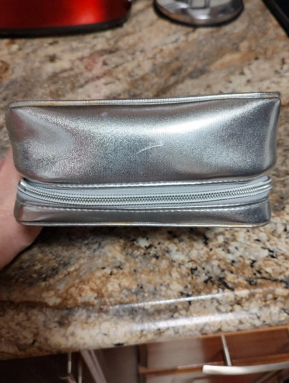 Metallic Silver Cosmetic Case